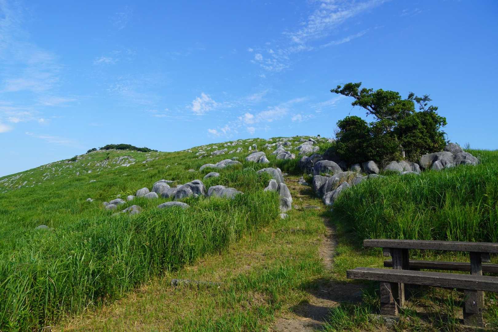 吹上峠-大平山-塔ヶ峯-塔ヶ峯取付-貫山-四方台-偽水晶山 縦走コースの写真