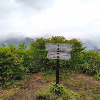 大源太山到着！
こちらは上州のマッターホルンでは無い方の大源太山です。
雨ポツポツ降って来ちゃった🥲仙ノ倉山・平標山は完全に降ってるね☁