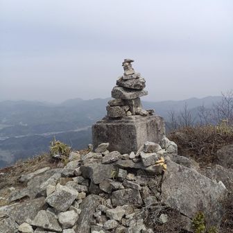 蝮の巣らしいですが、まだ大丈夫でした。