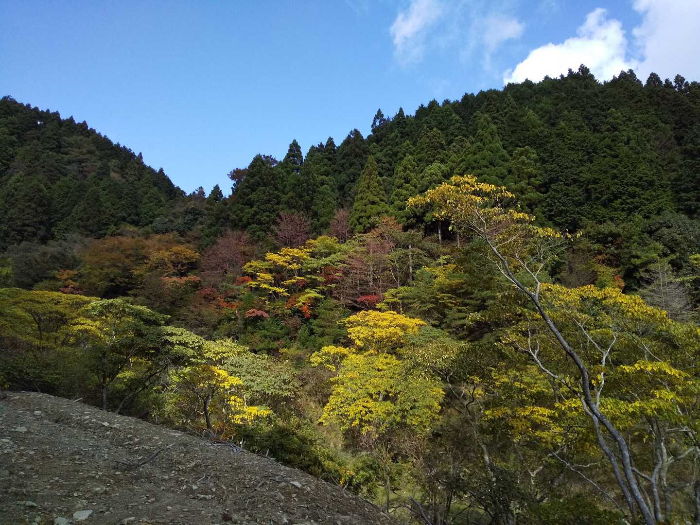 青空だし、先程とは大違い。
権現山までなら、雨に降られる前に登って、下りてこれるかも。