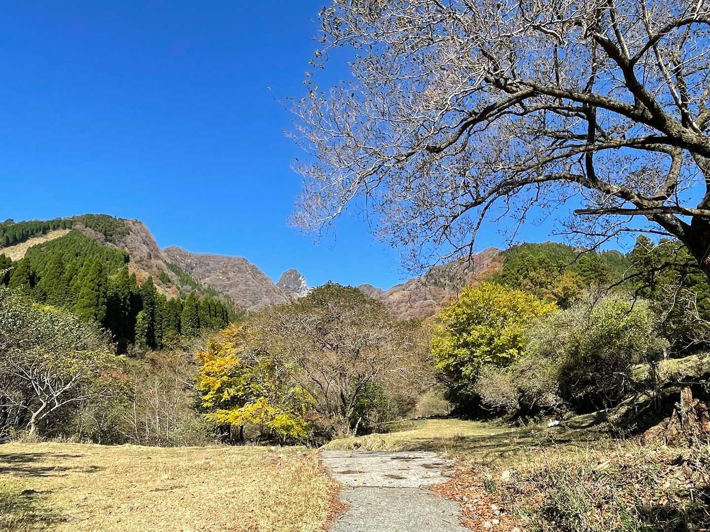 大戸尾根登山口-根子岳 往復コースの写真