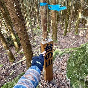 台の山にタッチ👉 ̖́-