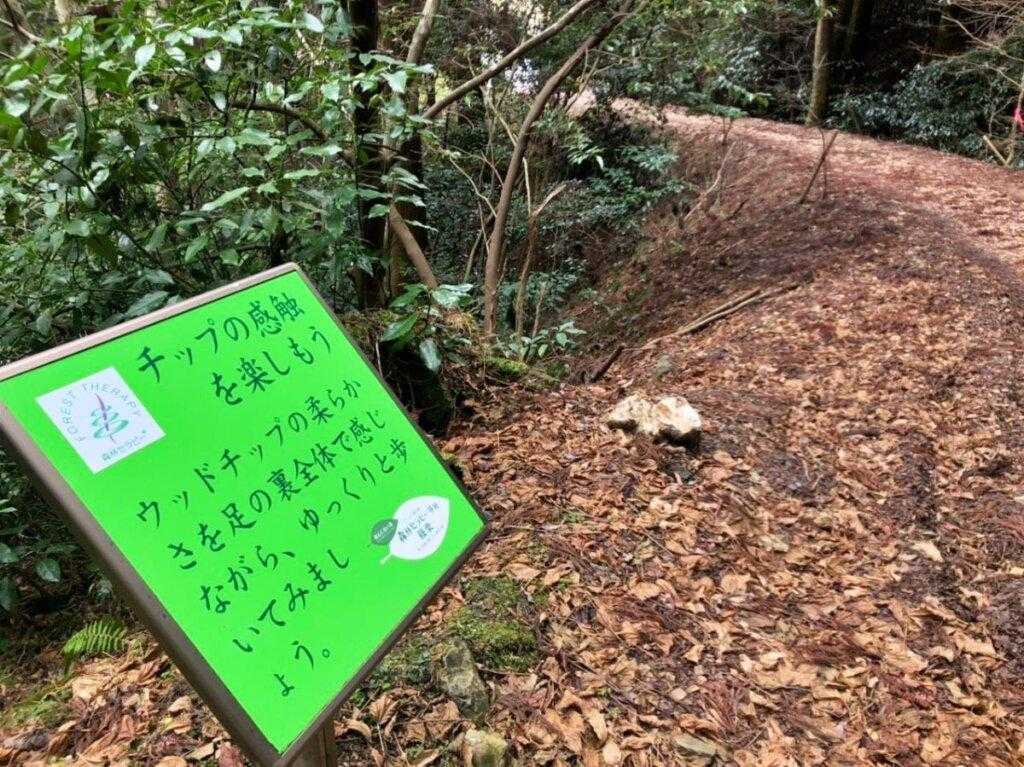 森の力で心も身体も健康に｜篠栗森林セラピーロード落陽コースの写真