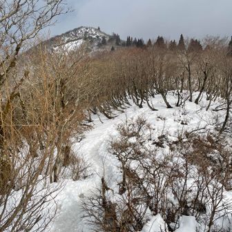 おお、いい感じ‼️来い、青空✨✨