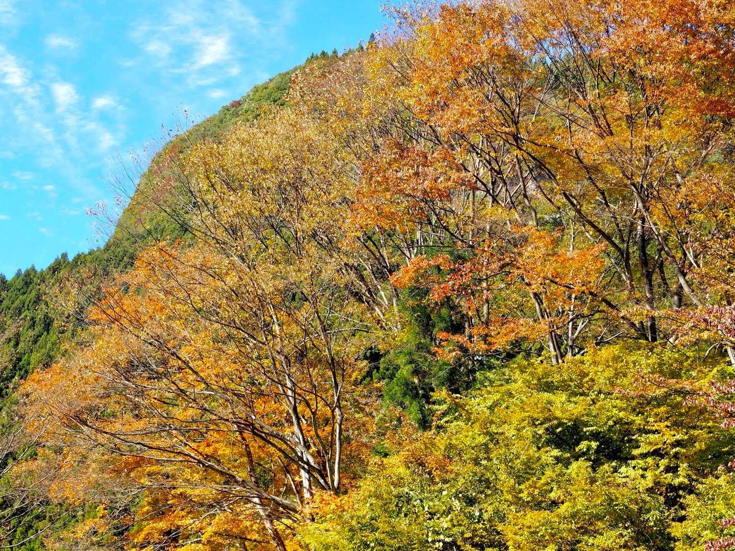 　山々は
　キレイに
　お化粧して