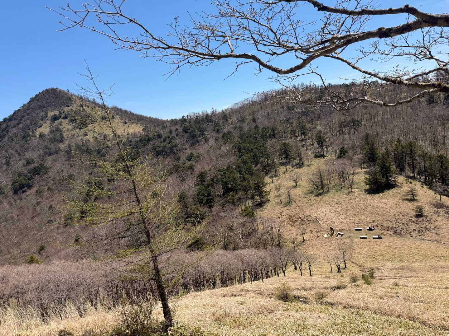 雁峠と笠取山