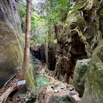 ここら辺アドベンチャーしてる感じがあって楽しかったです。