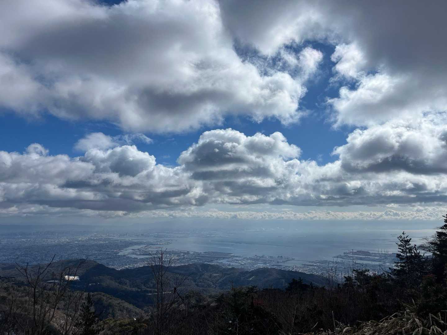 良き眺めです🤤