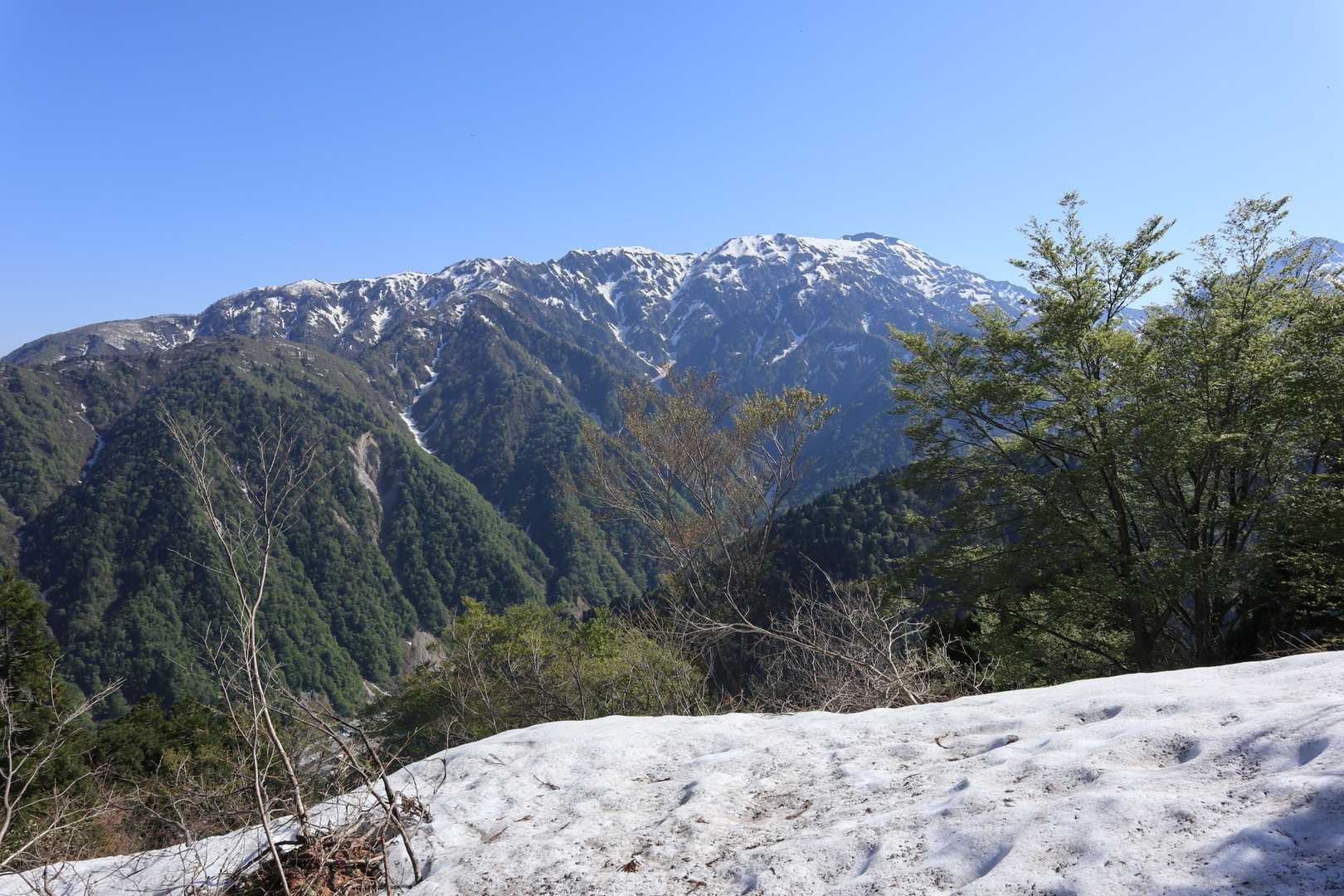 雪が現れると猫又山