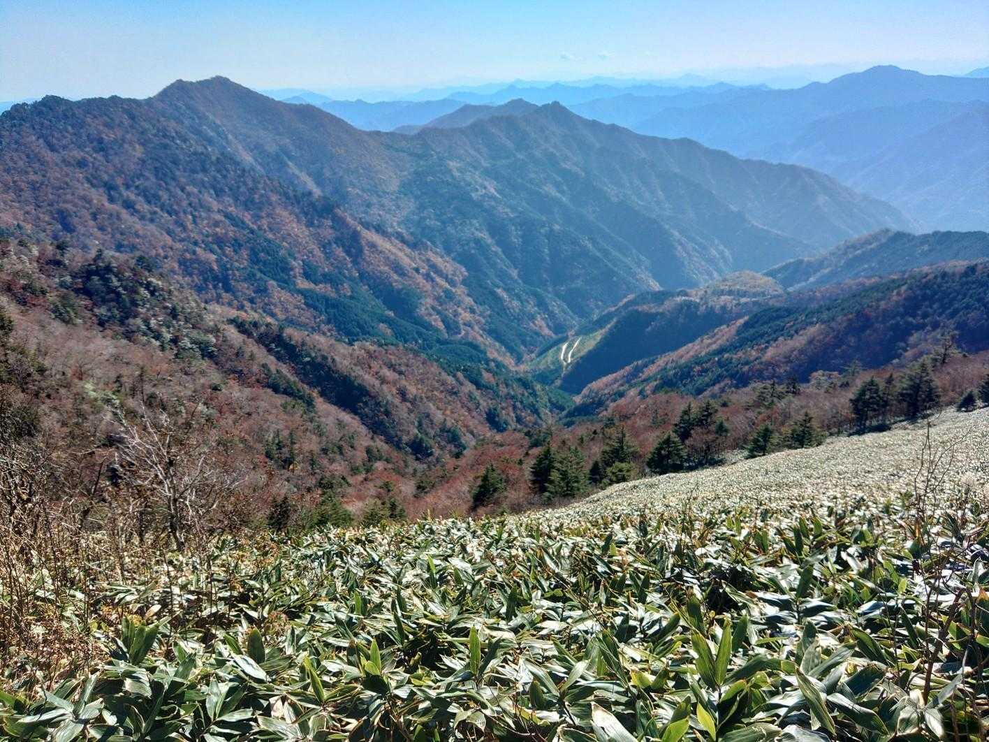 東黒森-伊予富士 往復コースの写真