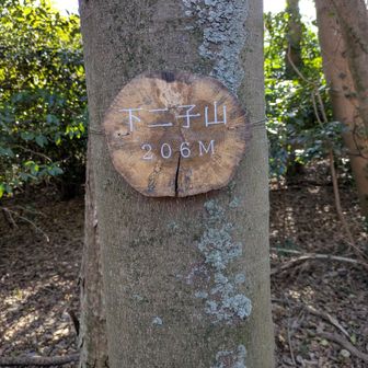 下二子山
ここから一気に下山します
今日のラストピーク✌️
