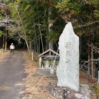 ココからロード