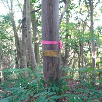 嵐山をいつの間にか通りすぎ、十一座目中嵐山