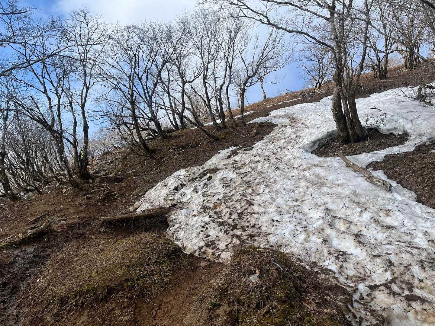 雪がけっこう残っていました