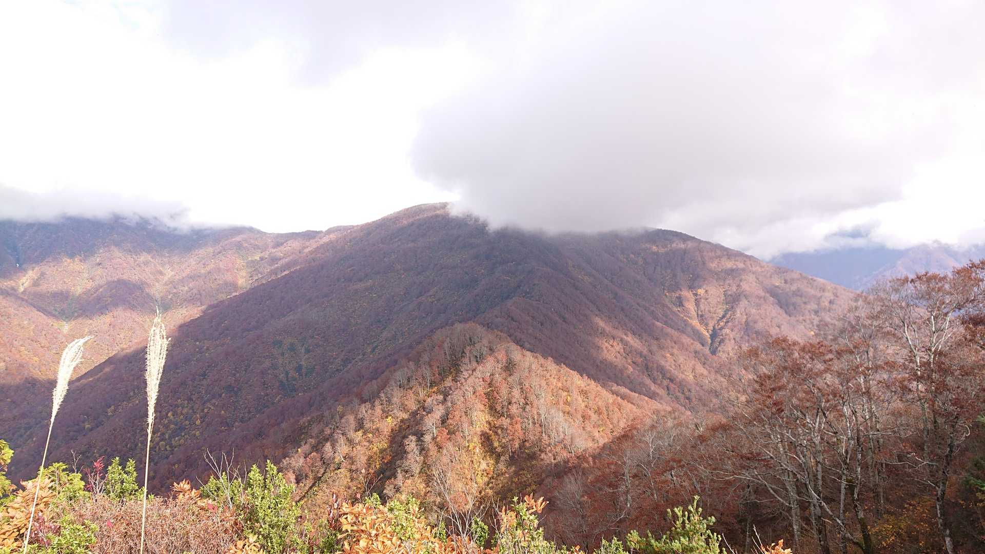 阿寺山