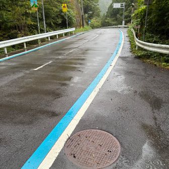 大永山トンネル口に出てきました。樹林帯を歩いている時は葉っぱが守ってくれてて気にならなかったのですが、まあまあの雨でした。合羽を着ます。