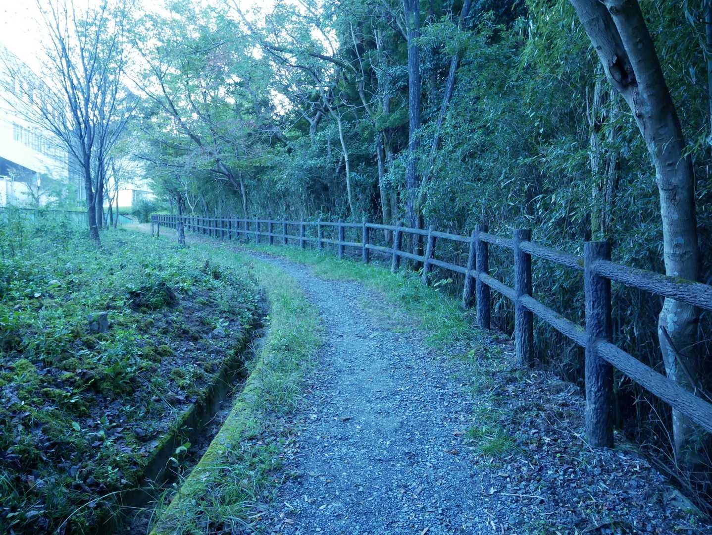 歩きやすいルート