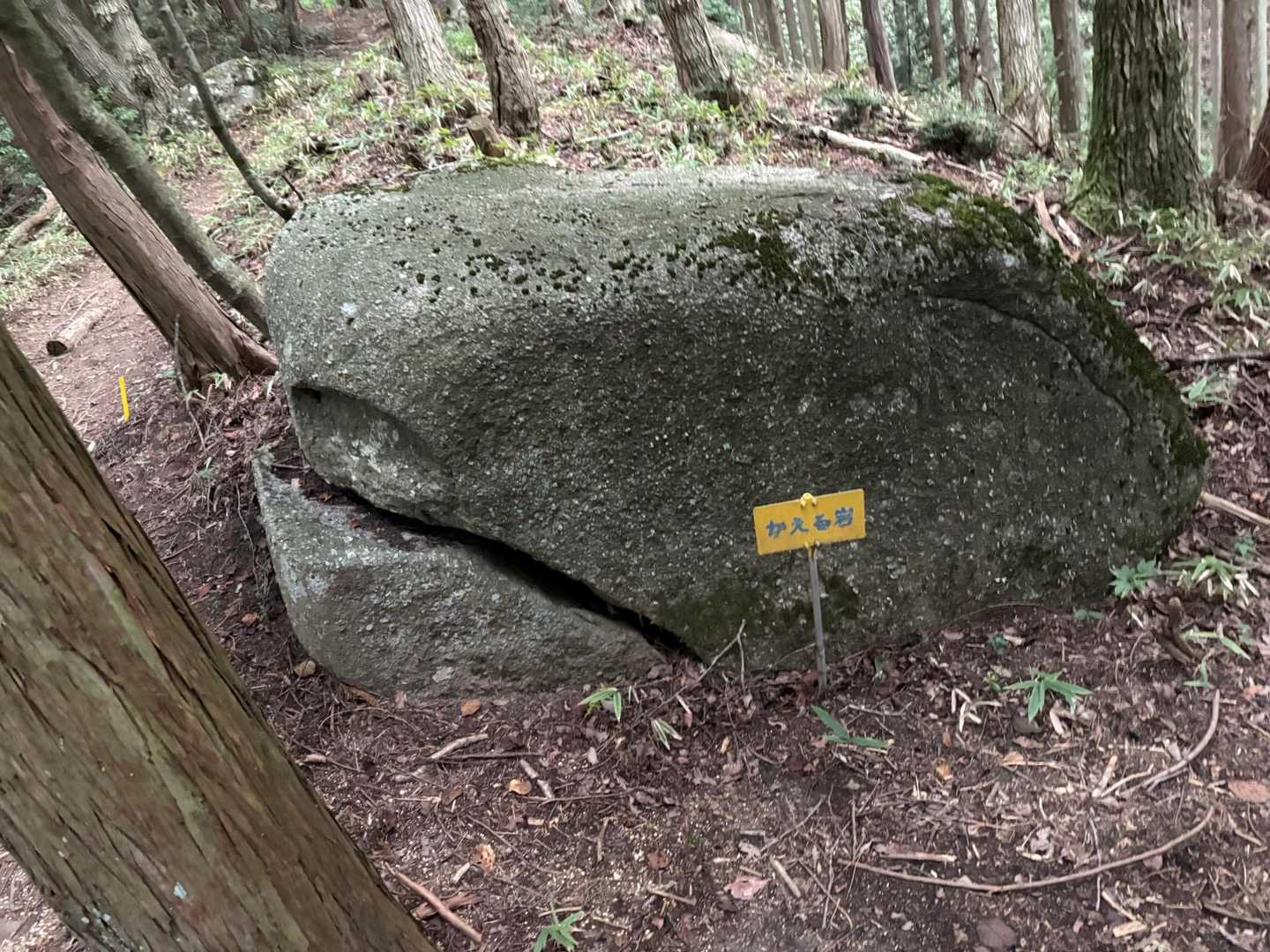 笹平口-屏風山 周回コースの写真
