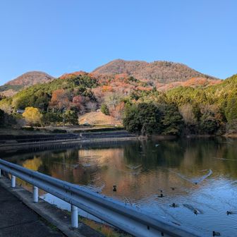 しんどかった😂