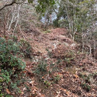 ガシガシ

中々の急登なのよ笑

グレーだから道ないのかと思って💦

適当にガシガシ登ってたら
下山されてる方居て、登山道発見💡
ビックリさせてごめんなさい🙇‍♀️