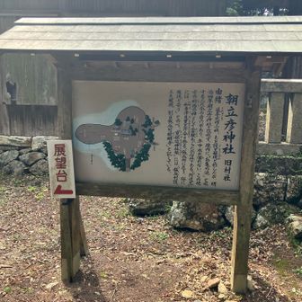 次回はお亀の池行ってみます