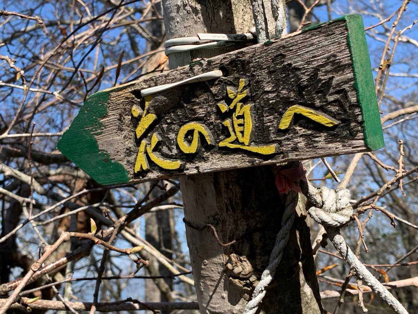 🐻が通るらしい