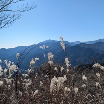 すすきとおおやま