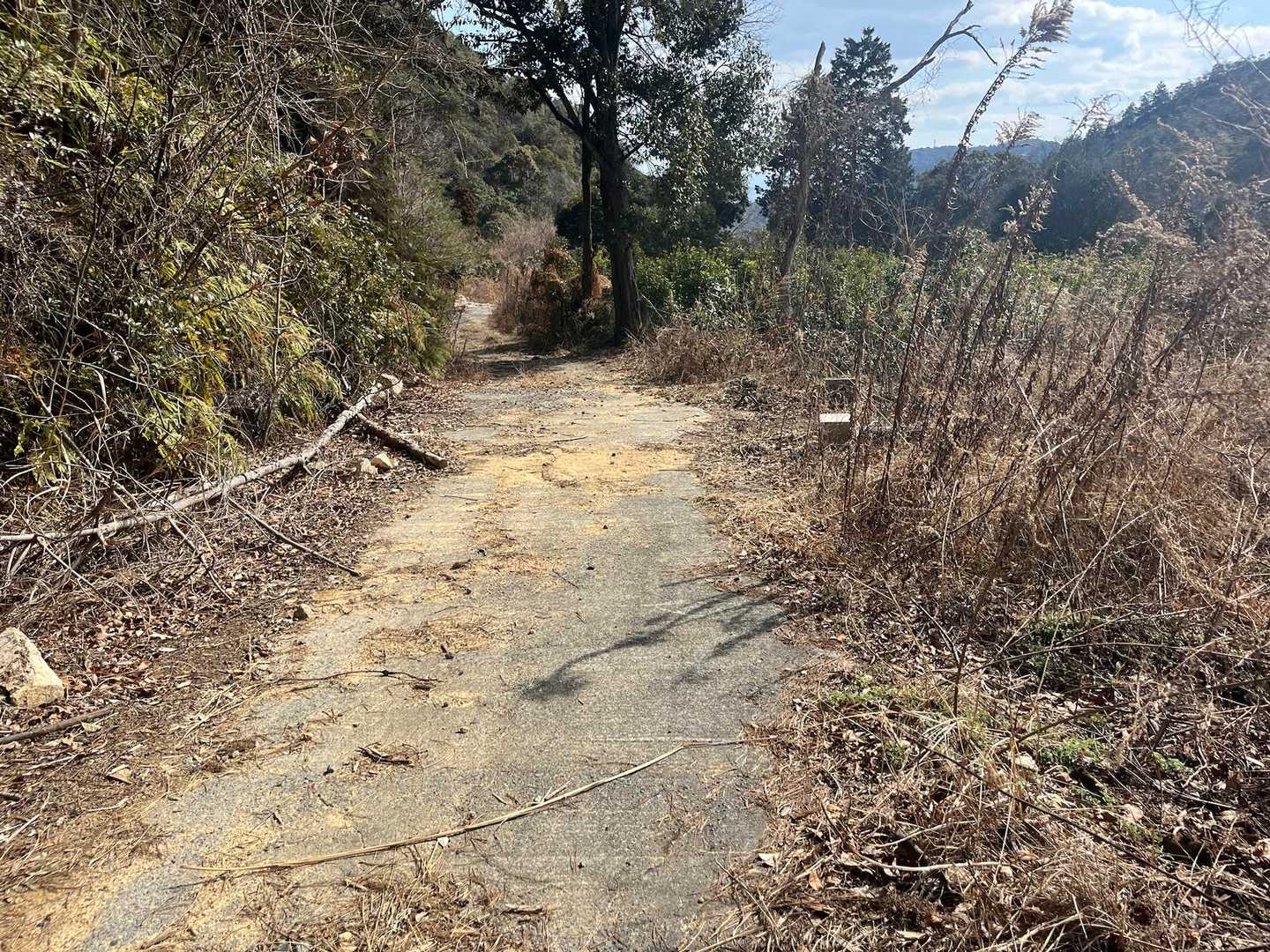 あとはロード
亀居城まで2.6km