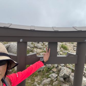 山頂🙌誰もいないのね。
