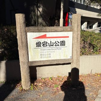 愛宕山行ってみる