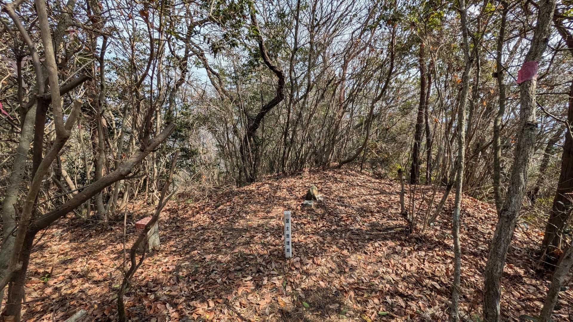 狐ヶ城山山頂到着✨
眺望ありません💦