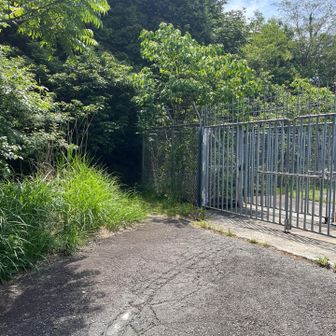せっかくなので大平山目指します