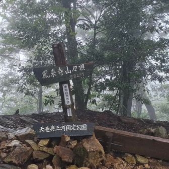 鳳来寺山頂に到着。雨だから登山者は誰もいませんでした。