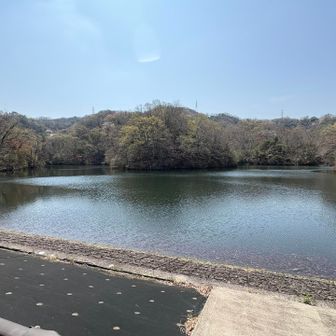 星田新池だって‼️