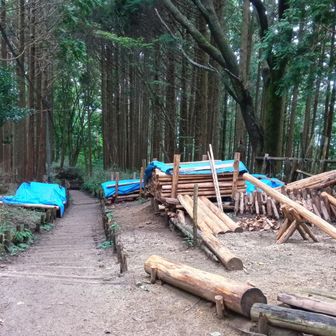 階段参道修復資材🙏立ち休憩ばかり🥵😵‍💫
