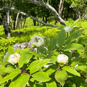 では、お腹も膨らんだので戻りましょう。