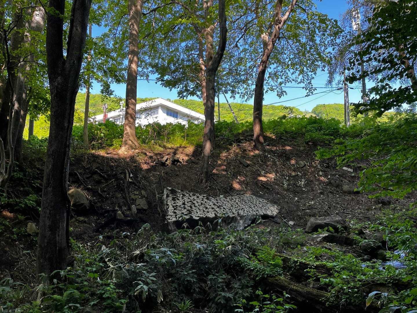 藻岩山ルート入口-山鼻山 往復コースの写真