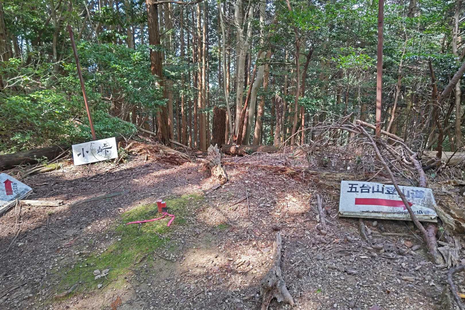 小峠😊
なんて日だ👩‍🦲