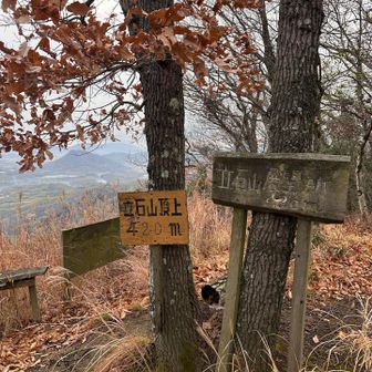 立石山展望所
この縦走路でここだけが唯一ひらけてる