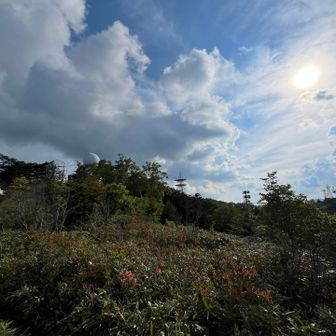ここから見返す電波塔の景色がすき