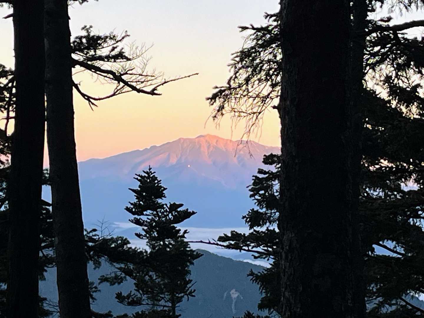 モルゲン〜御嶽〜ええな〜💕💕
誰か〜　木🌲〜　切ってくれ〜🤣