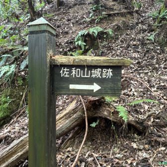 戦国時代好きには訪れたいところ。