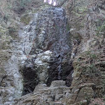 滝の水量はそんなに。
多ければ、色が変わっている部分ぐらいの横幅なんでしょうか。