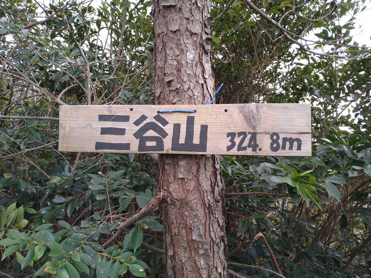 三谷山到着👍しかし、展望がなかった…