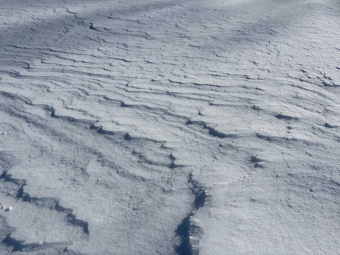 シュカブラ
