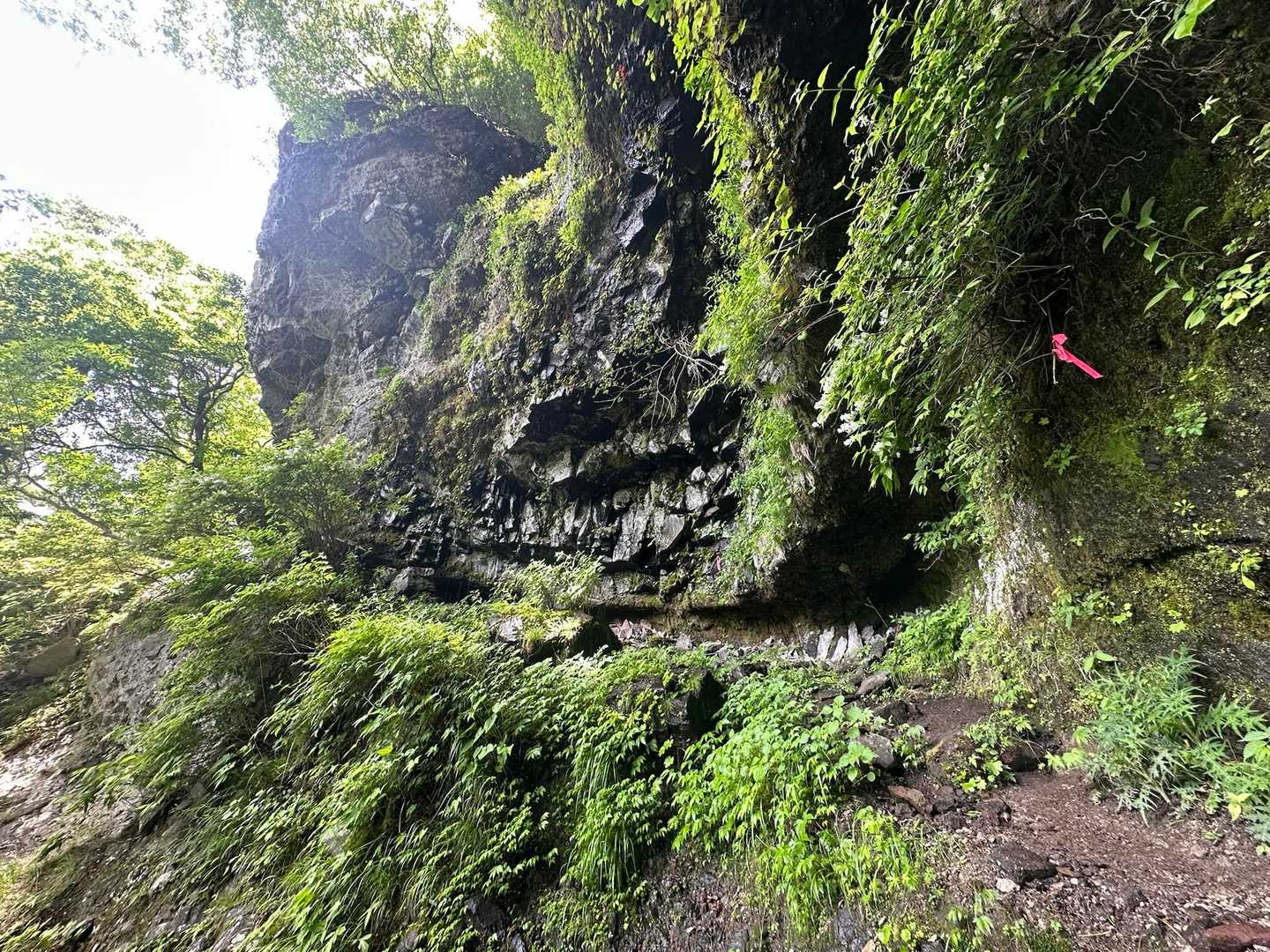 山荘から先は
梯子や　ロープ箇所　