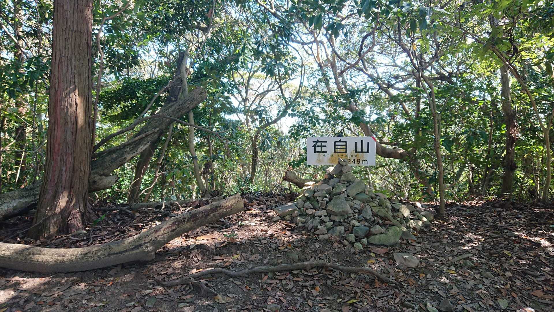 在自山の写真
