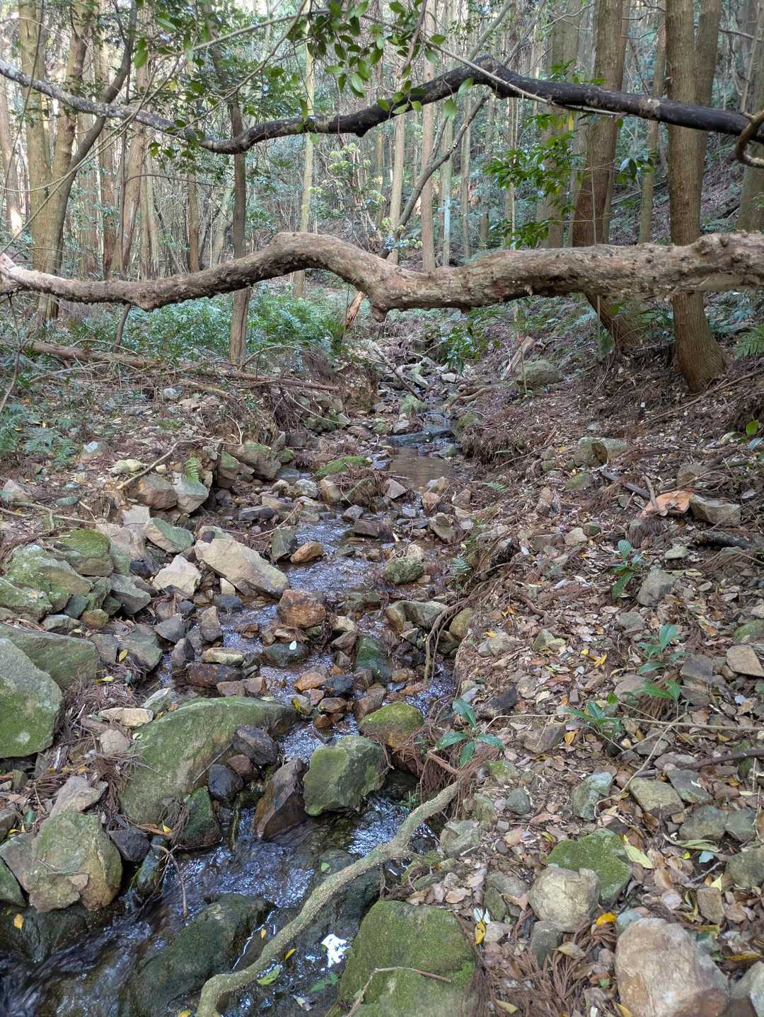 落ちないように