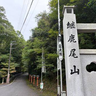 ここからまた登っていきます。
紅葉🍁で有名寂光院を通り継鹿尾山へ。