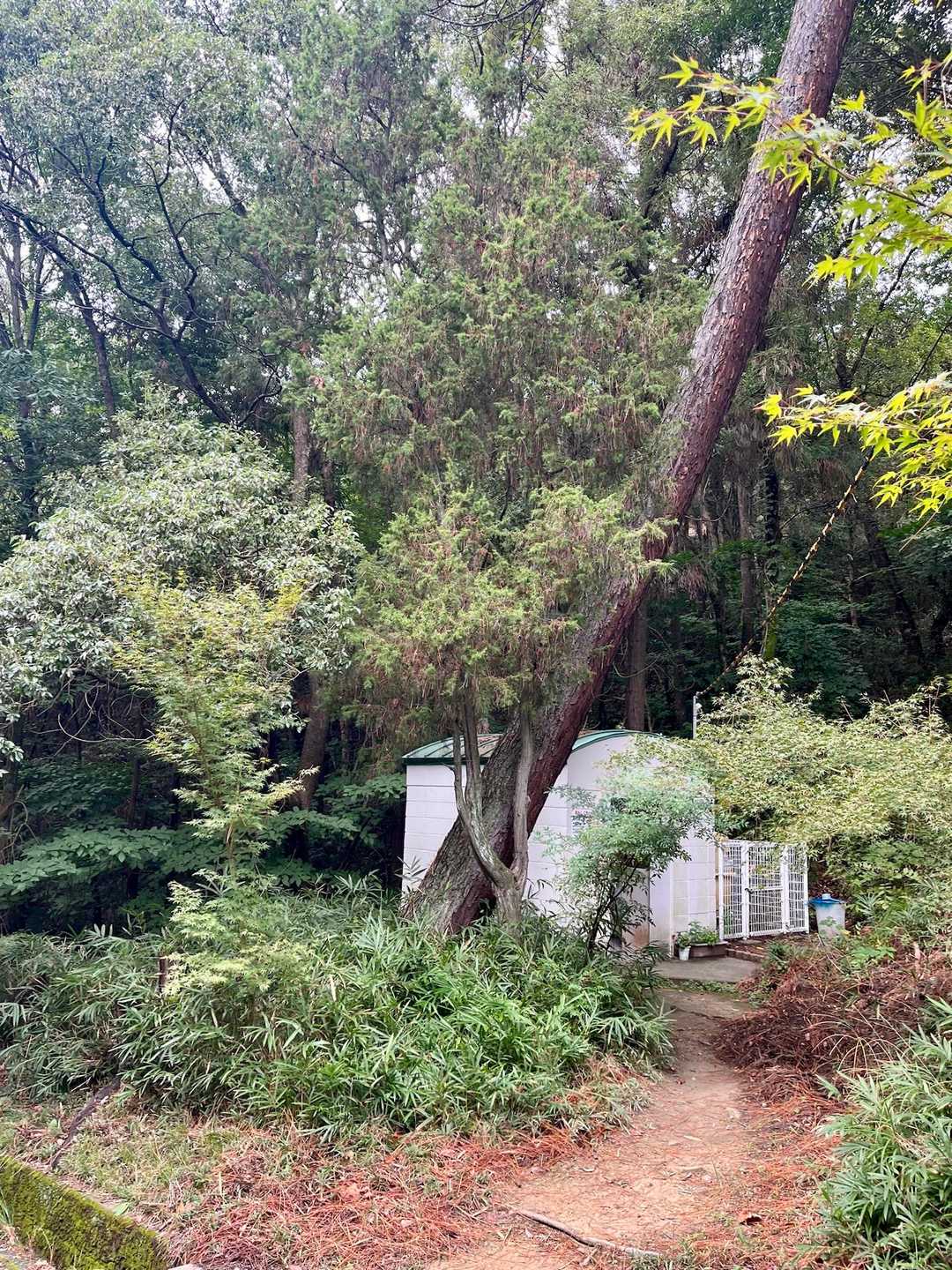 御手洗🚻にいって帰りました！
いつも綺麗にお掃除してくださって大変気持ちよく使用できます🙏✨✿感謝しかありません

さあ〜今日はお昼からお仕事٩( 'ω' )و
蔵王山で癒されて1週間頑張れそうです✿·͜·ᰔ
